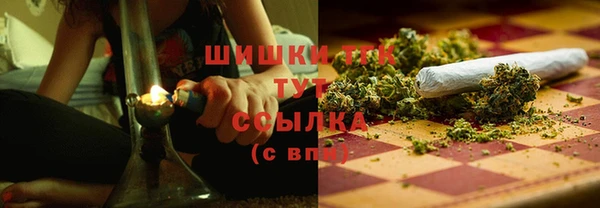 прущие грибы Абинск