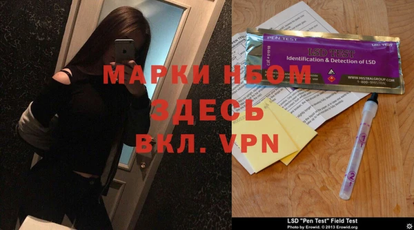 прущие грибы Абинск