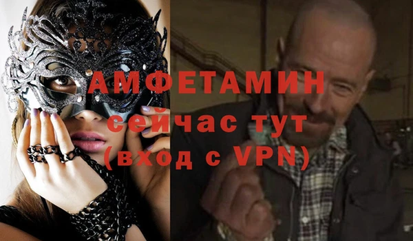 прущие грибы Абинск