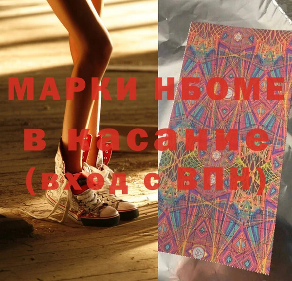 прущие грибы Абинск