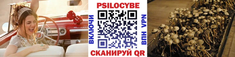 Псилоцибиновые грибы GOLDEN TEACHER  закладки  Углегорск 